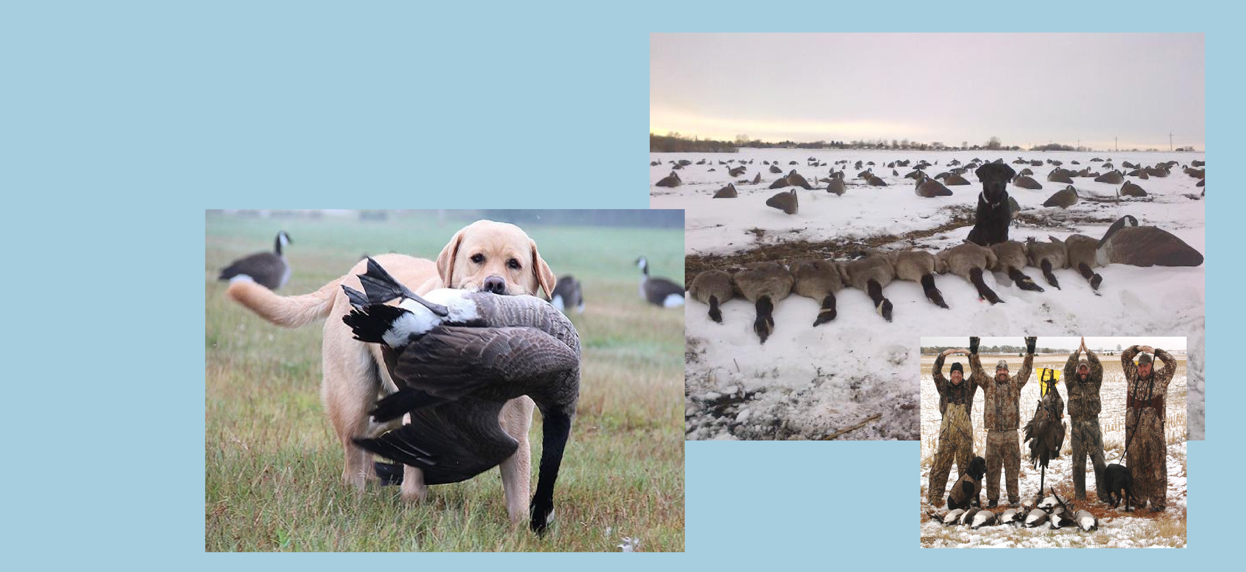 Big Al's Decoys Store