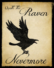 Nevermore Raven Literary Quote. Vintage Style Edgar Allan Poe Fine Art Print For Classroom, Library, Home or Dorm