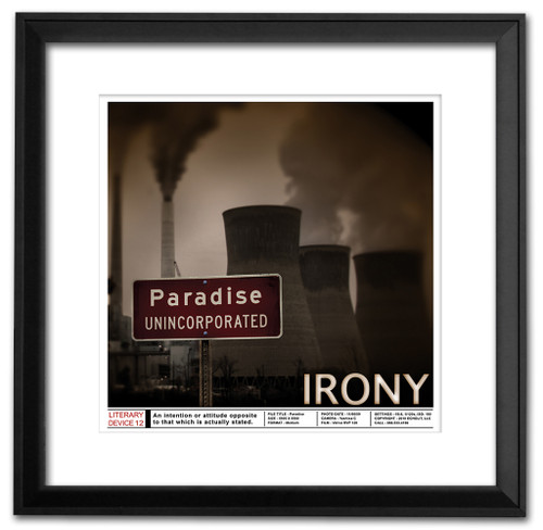 Irony Classoom Literary Poster
