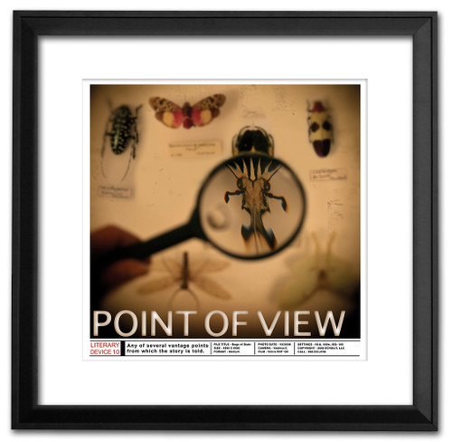 Point of View Classoom Literary Poster