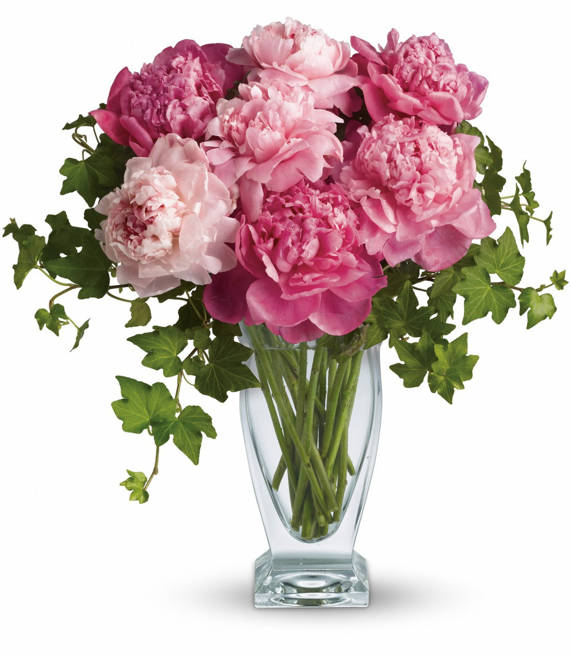 Perfectly Pink Peonies For Mom Enchanted Florist Perfectly Pink Peonies By Enchanted Florist It S No Wonder That The Peony Has Been Favored
