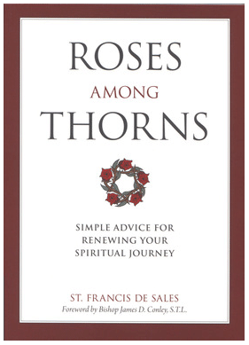 Roses Amoung Thorns roses amoung thorns