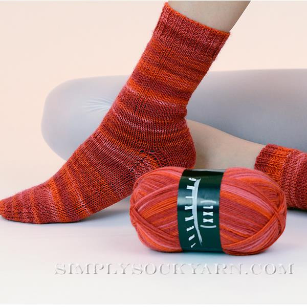 Trekking XXL 582 Simply Socks Yarn Company
