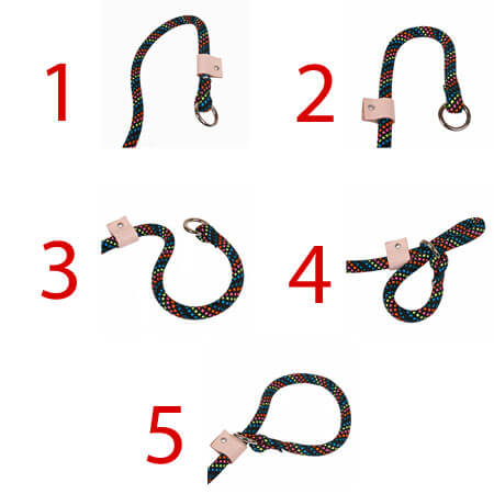 Hot Dog On A Leash Reviews Hot Dog On A Leash Reviews