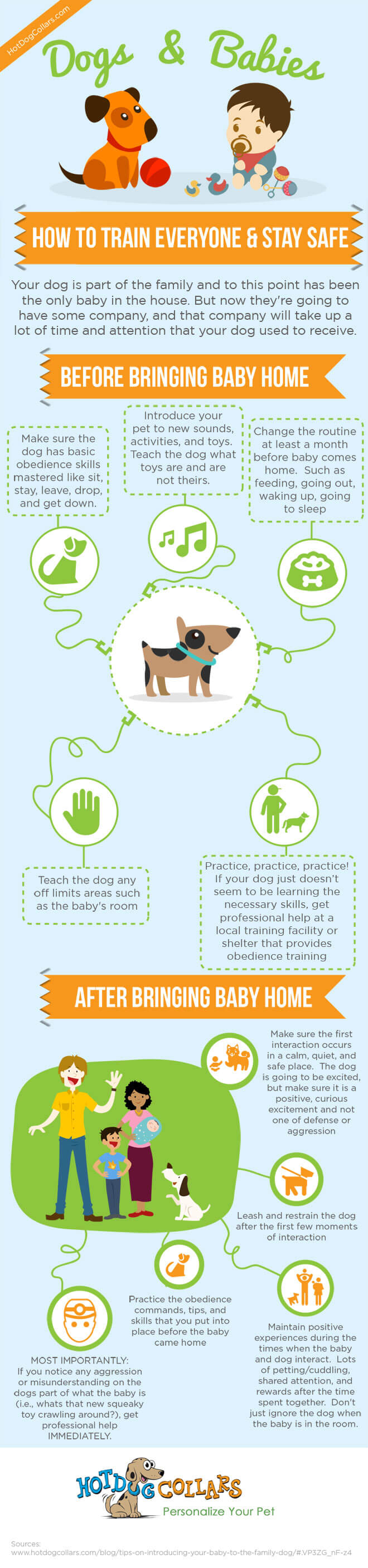 Dogs and Babies Infographic