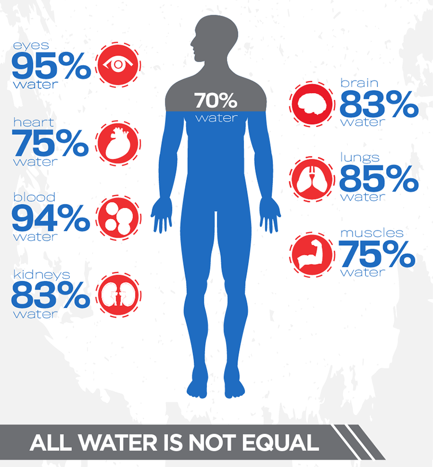 You are what you drink, our bodies are 70% water