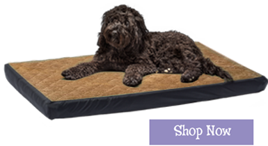 vets-product2.png vets-product2.png