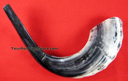 big horn jewish singles Small ram's rams horn shofar 9-12 medium from israel new jewish music 44 out of 5 polished ram horn shofar with wide bend and natural colors. big horn jewish singles Small ram's rams horn shofar 9-12 medium from israel new jewish music 44 out of 5 polished ram horn shofar with wide bend and natural colors.
