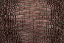 尼罗河鳄鱼皮腹双音铜/绿松石40/44厘米