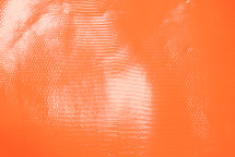 蜥蜴皮肤java釉面霓虹橙色