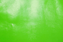 蜥蜴皮爪哇釉面霓虹绿