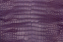 鳄鱼皮肤腹部哑光悬挂紫色30/34厘米3级