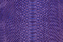 Python皮肤哑光皇家紫色