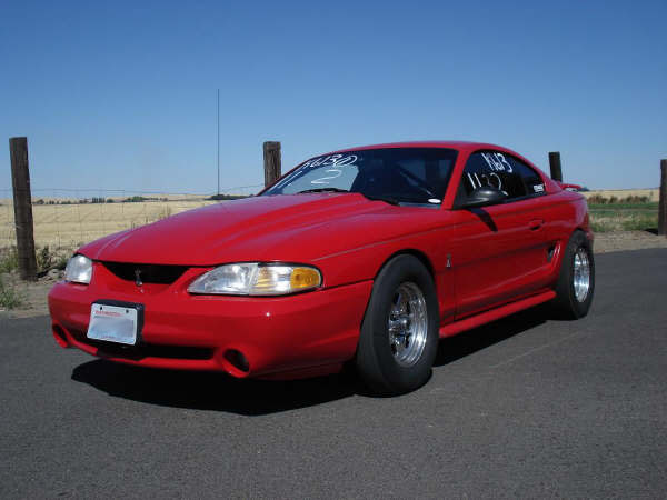 94 Cobra - Kasey Kelty 94 Cobra - Kasey Kelty