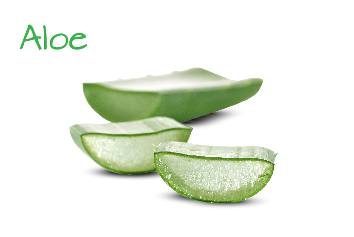 ingredient-image-template-03-03.png ingredient-image-template-03-03.png