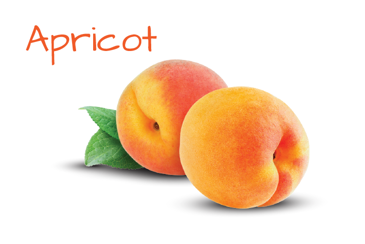 ingredient-image-template-04.png ingredient-image-template-04.png