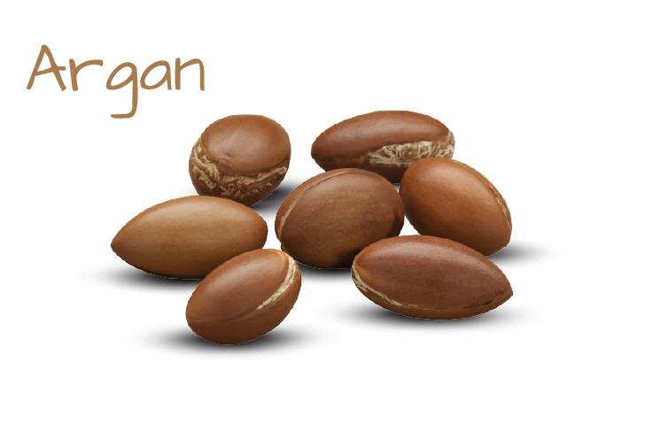 ingredient-image-template-05.png ingredient-image-template-05.png
