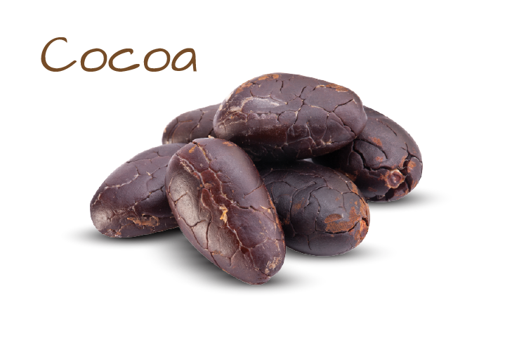 cocoa comes from the cacao bean which is found inside the cocoa