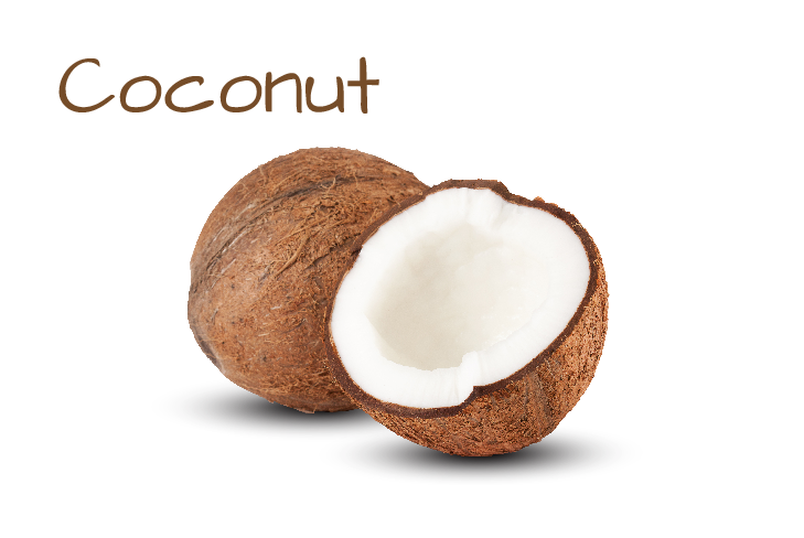 ingredient-image-template-09.png ingredient-image-template-09.png