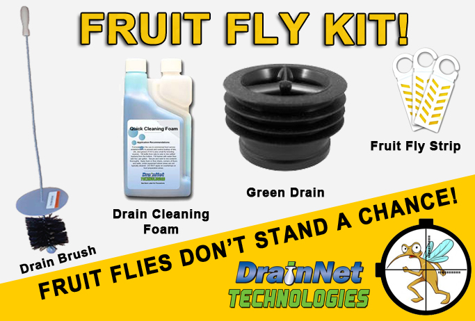 How To Get Rid Of Fruit Flies In Your Kitchen