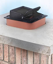 lyemance-on-chimney.jpg lyemance-on-chimney.jpg