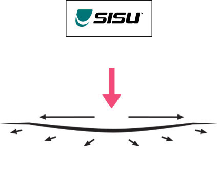 Sisu