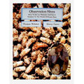 Observation Hives by Caron & Webster