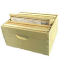 Deep Hive Body with Frames & Foundation