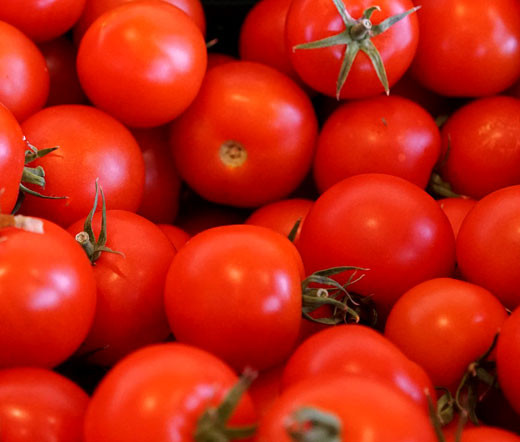 Image result for tomato small image