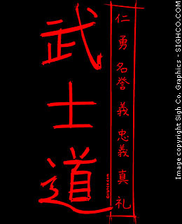 Bushidou: Code of the Samurai hoody