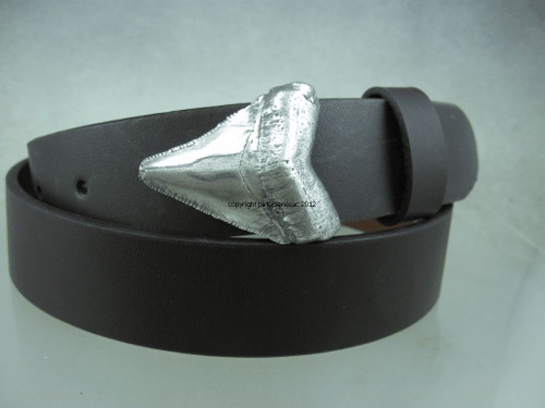 Sharks tooth buckle in sterling Sharks tooth buckle in sterling
