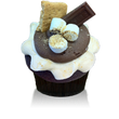Chocolate cake with graham cracker crust with marshmallow icing sprinkled with graham cracker crumbs and topped with a mini Hershey bar