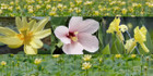 Image Copyright (in order) Katherine Edison, Ryan Brown, Ryan Brown, John Gwaltney