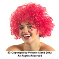 Pink Afro Wig 6015