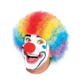 Clown Wig Rainbow Adult 6031