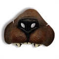 Bear Nose 1799