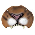 Lion Nose 1800