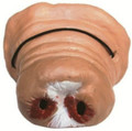 Hog Nose 1636