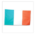 Irish St Patricks Pride Flags 3' X 5' FT 9082