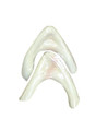 Elf Ear Tips Lord Of Rings Legolas Arwen 9042