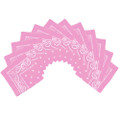 Light Pink Bandana 22" Paisley Cotton Dozen 1914D