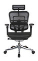 Ergohuman V2 Chair V200HRBLK - High Back with Black Frame and Mesh