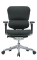 Ergohuman V2 Chair V200FBLK - Low Back with Black Frame and Fabric
