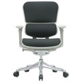 Ergohuman V2 Chair V210FBLK - Low Back, Gray Frame and Black Fabric