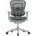 Ergohuman V2 Chair V210MEBLK - Low Back, Gray Frame and Black Mesh
