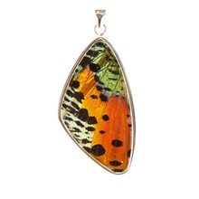 F.0003F-real-butterfly-wing-pendant-necklace-african-sunset__34803.1405434908.220.220.jpg