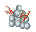 SepSphereTM Protein A agarose