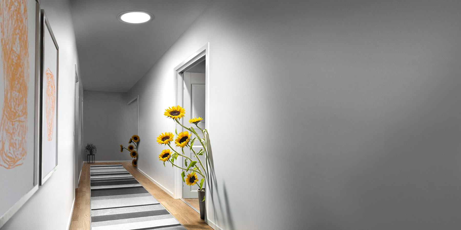 VELUX Sun Tunnels & VELUX Sun Tunnel Skylights