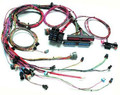 GM Style LS 1 Engine Harness