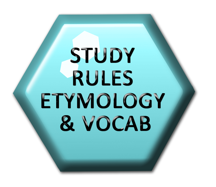 etyma-rules-vocab-nationalspellingbee-hexco.png etyma-rules-vocab-nationalspellingbee-hexco.png